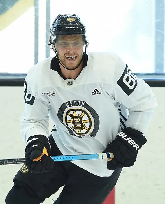 David Pastrnak Net Worth 2026 - How They Built Their Fortune